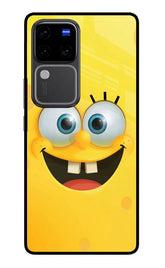Sponge 1 Vivo V30 Pro 5G Back Cover